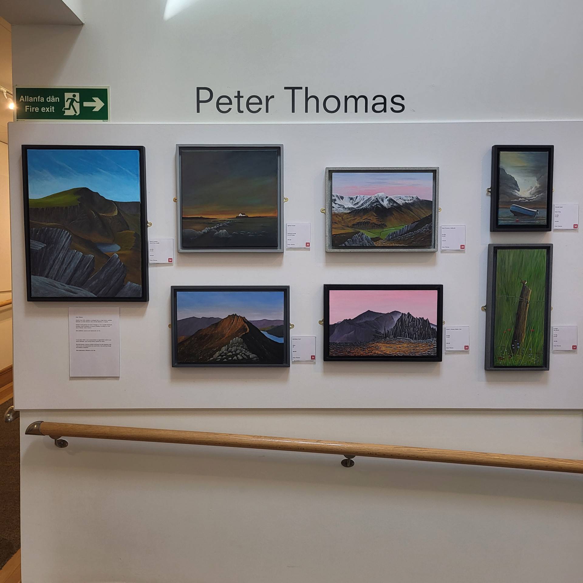 a photograph of 7 paintings up on a wall.