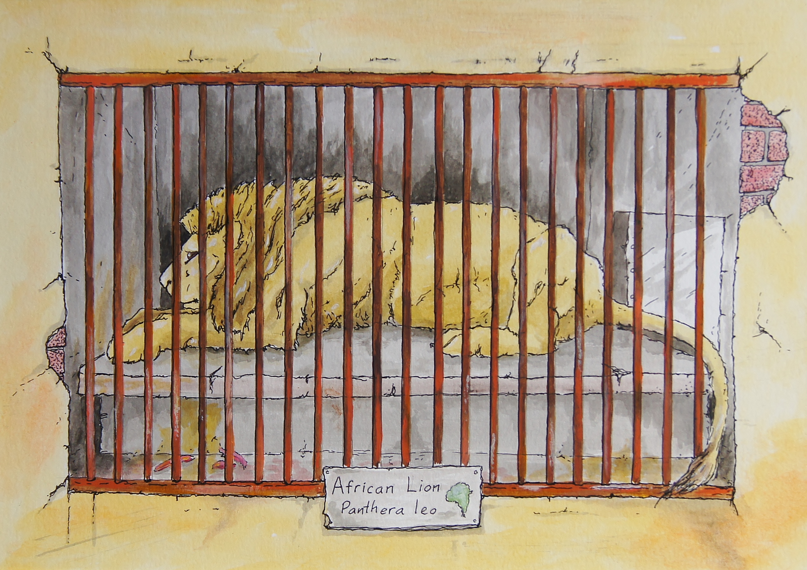 Portrait of Dave Haynes