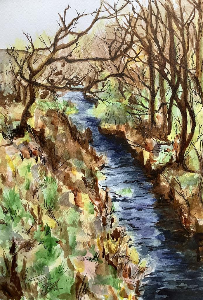 nant yn rhedeg drwy goetir, dim dail ar y coed