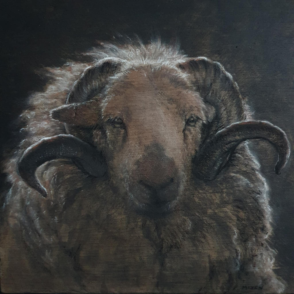 a close up study of a rams head