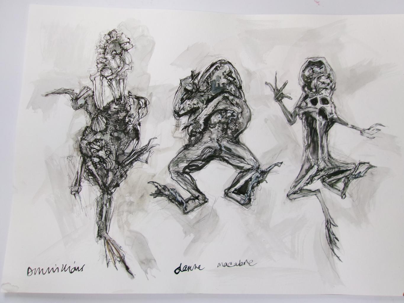 drawings of three dissected frogs