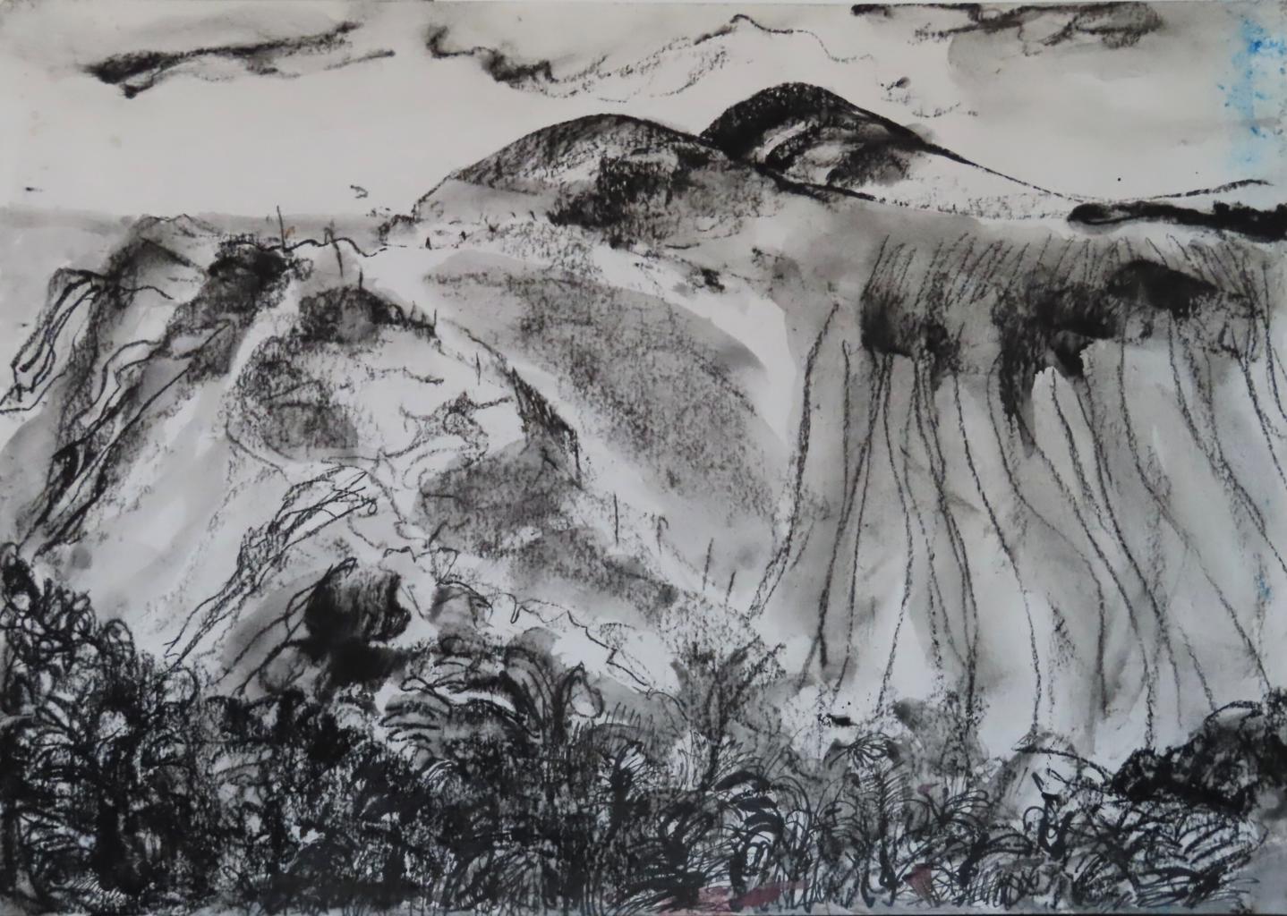 a black ad white drawing of a mountain with shrubbery at the front.