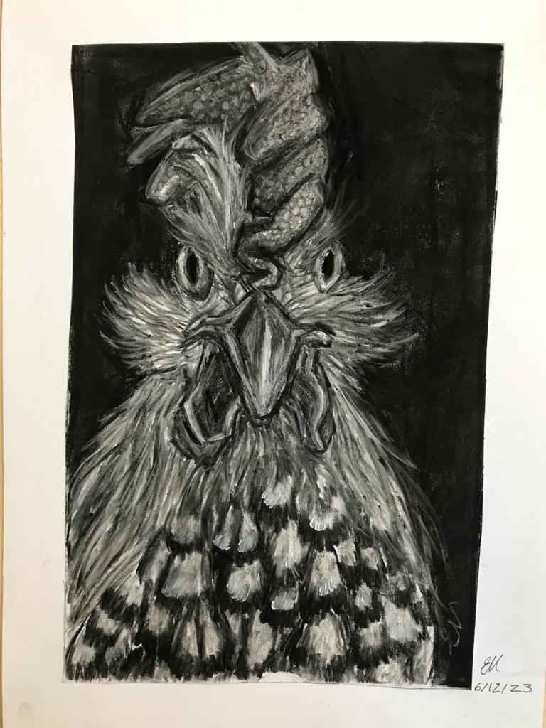 Image of Merlin the Rooster