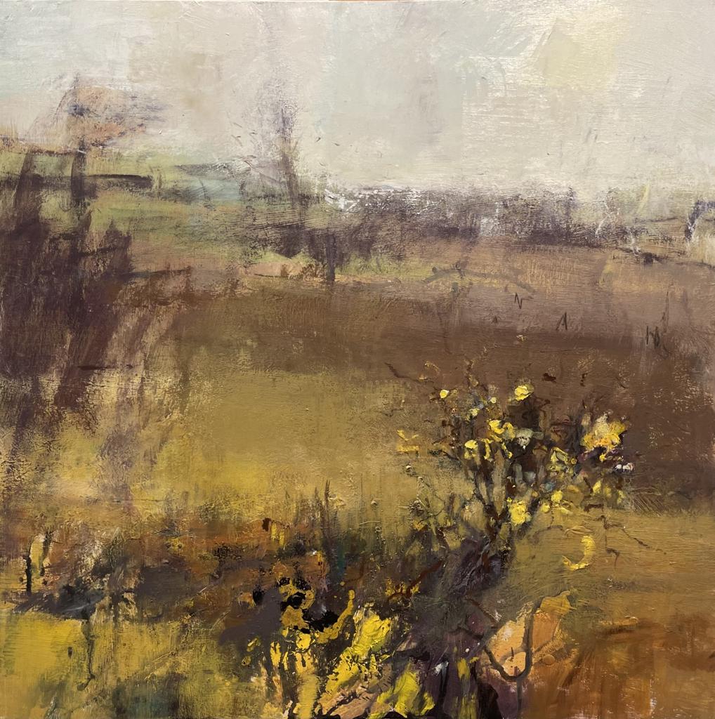 golden fields with a yellow plant at the front 