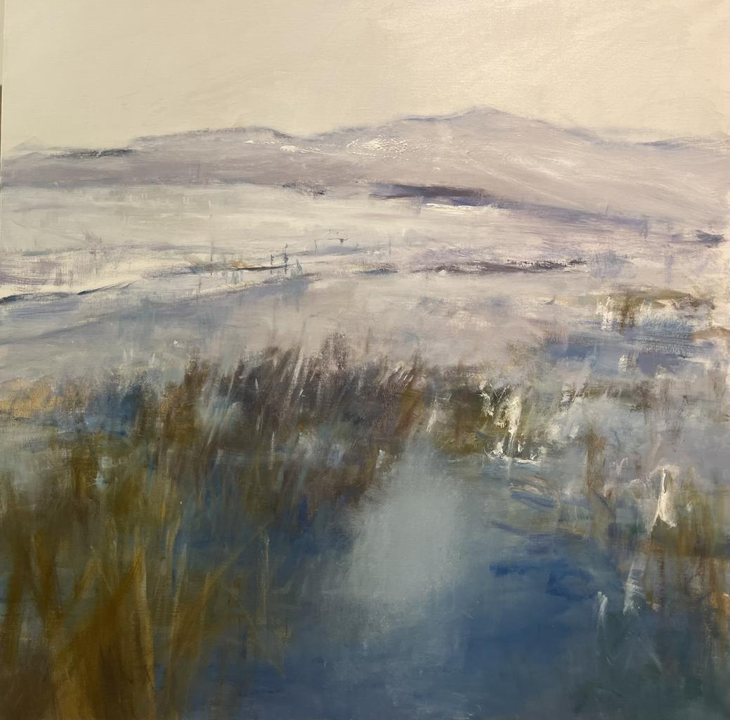 snowy mountains and a large blue lake running through