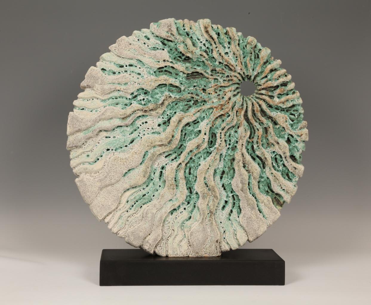 a photograph of a sculpture that has a shell like pattern