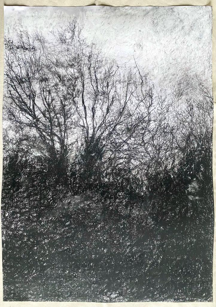 A drawing of winter trees and the sooty black of the twiggy branches in a darkening sky.