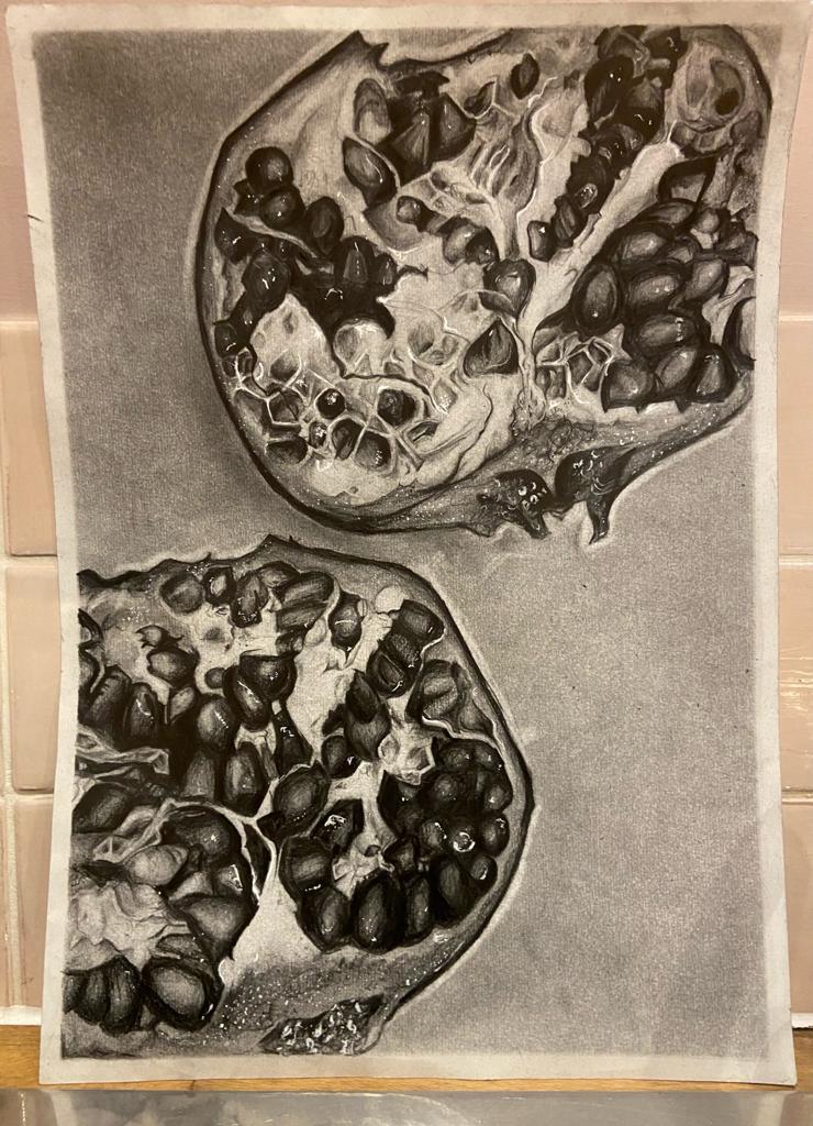A graphite drawing of pomegranates