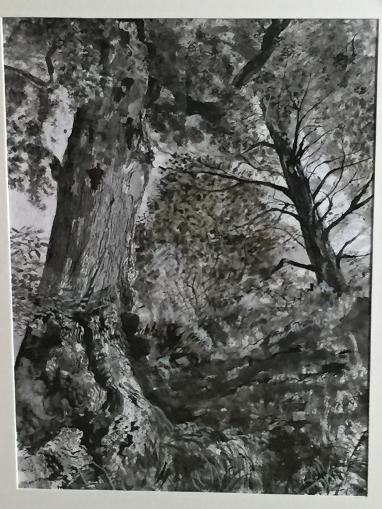 Image of trees at Bodnant Garden