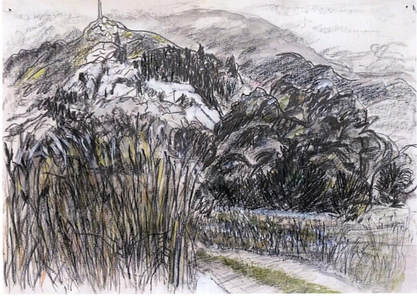a mountain walk through large bushes