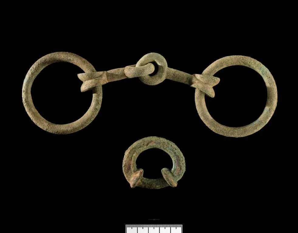 Recently discovered Iron Age horse bridle and terret ring