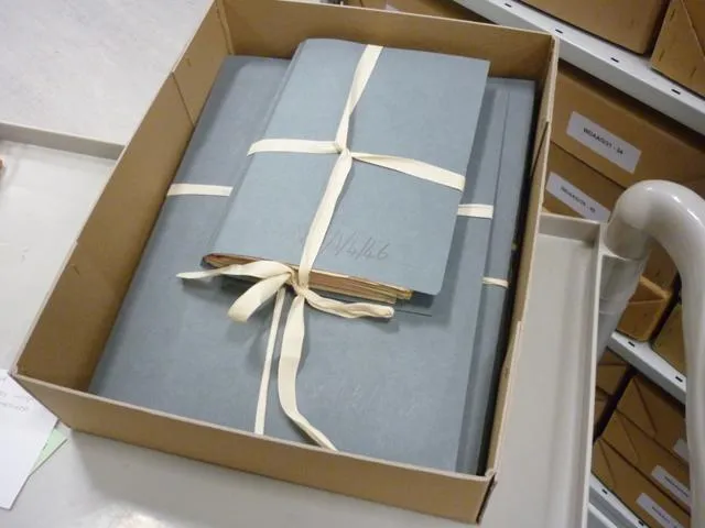 Blue folders tied with string in a box.