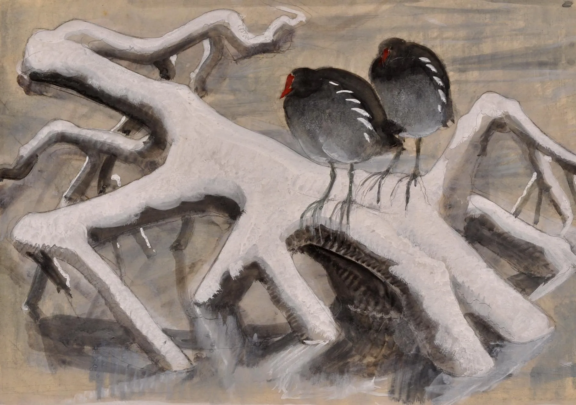 Two birds perched on a branch. 