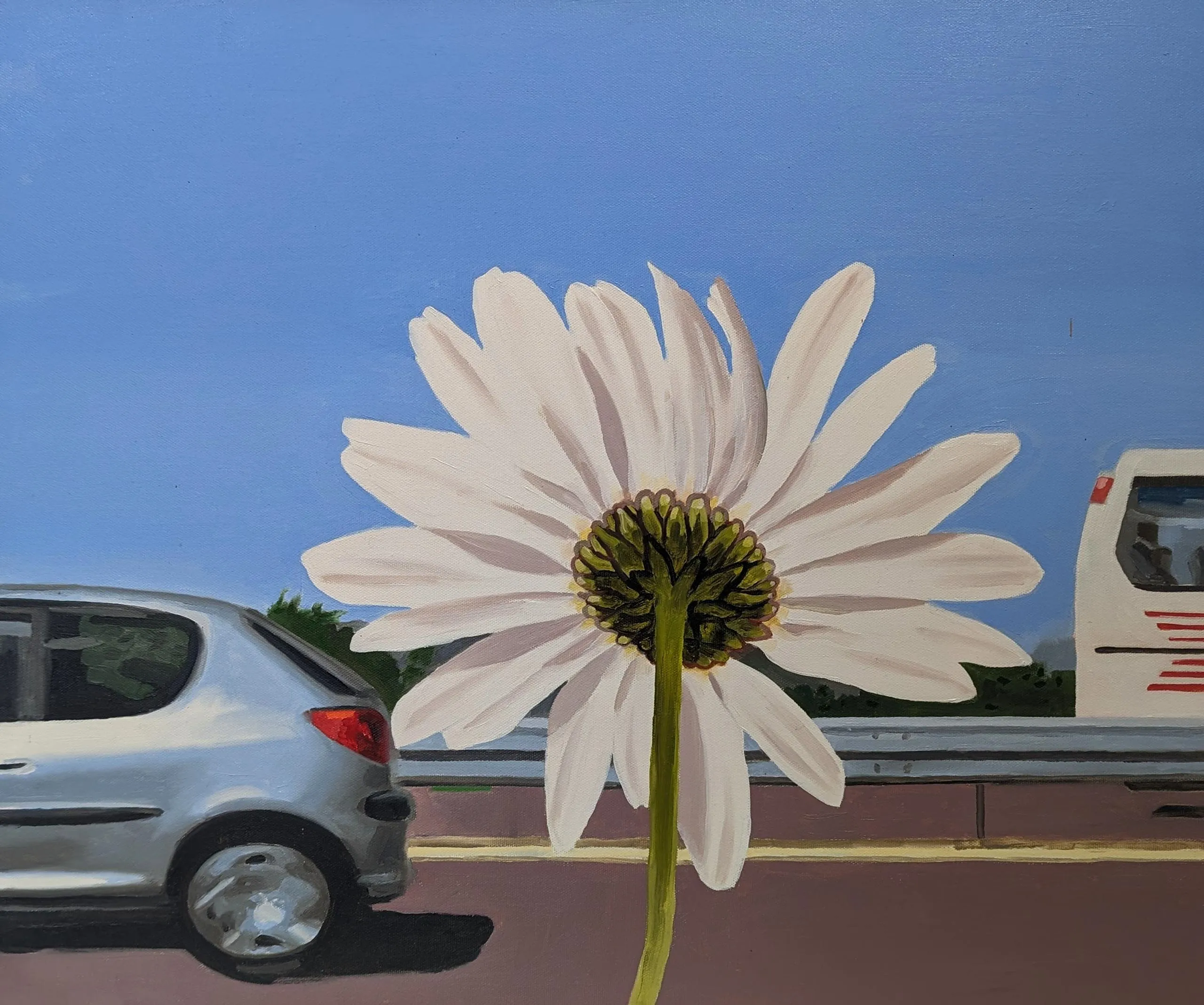 A silver car running off the left of the screen and the back of a daisy to the centre.