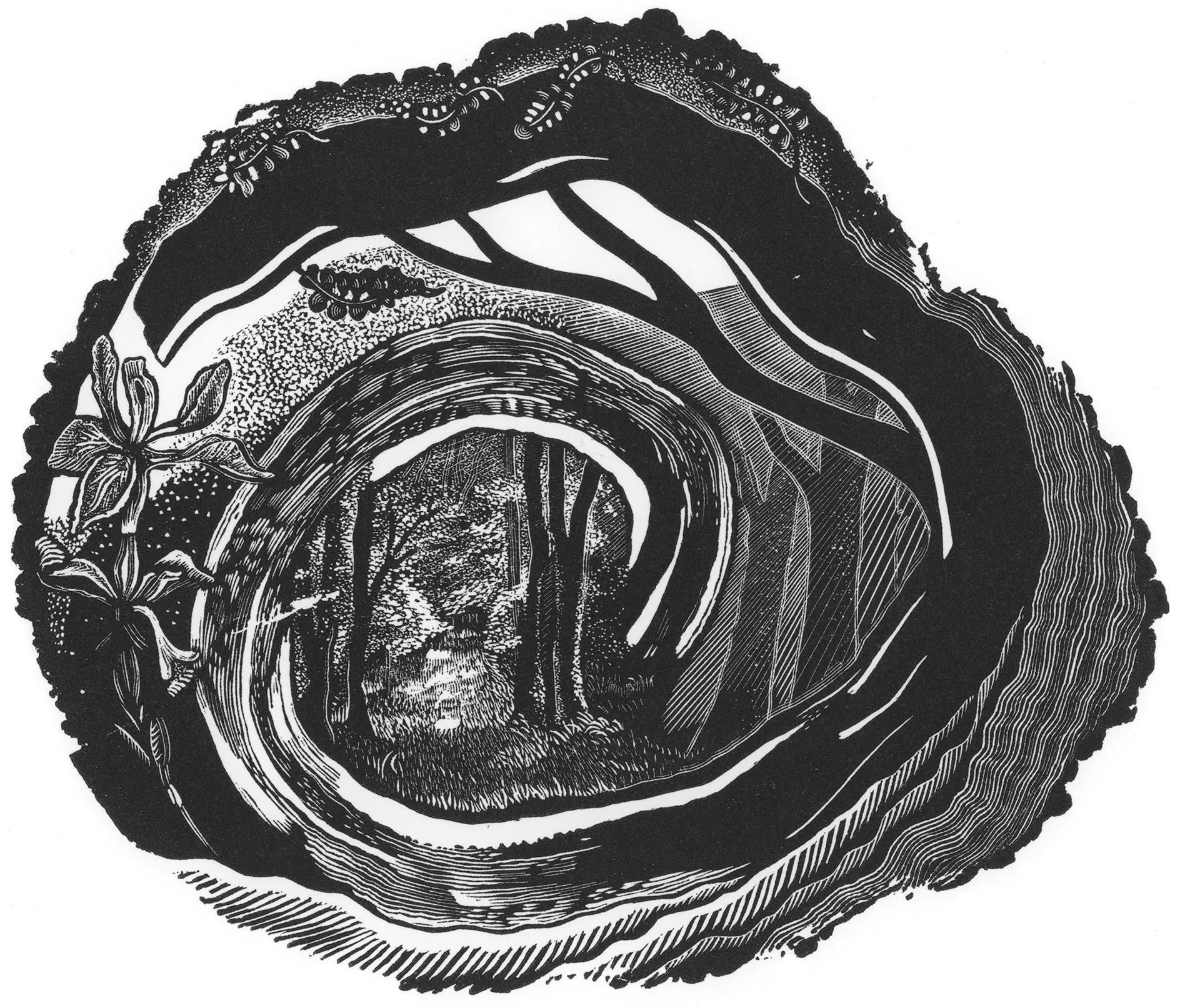 A print of woodland.