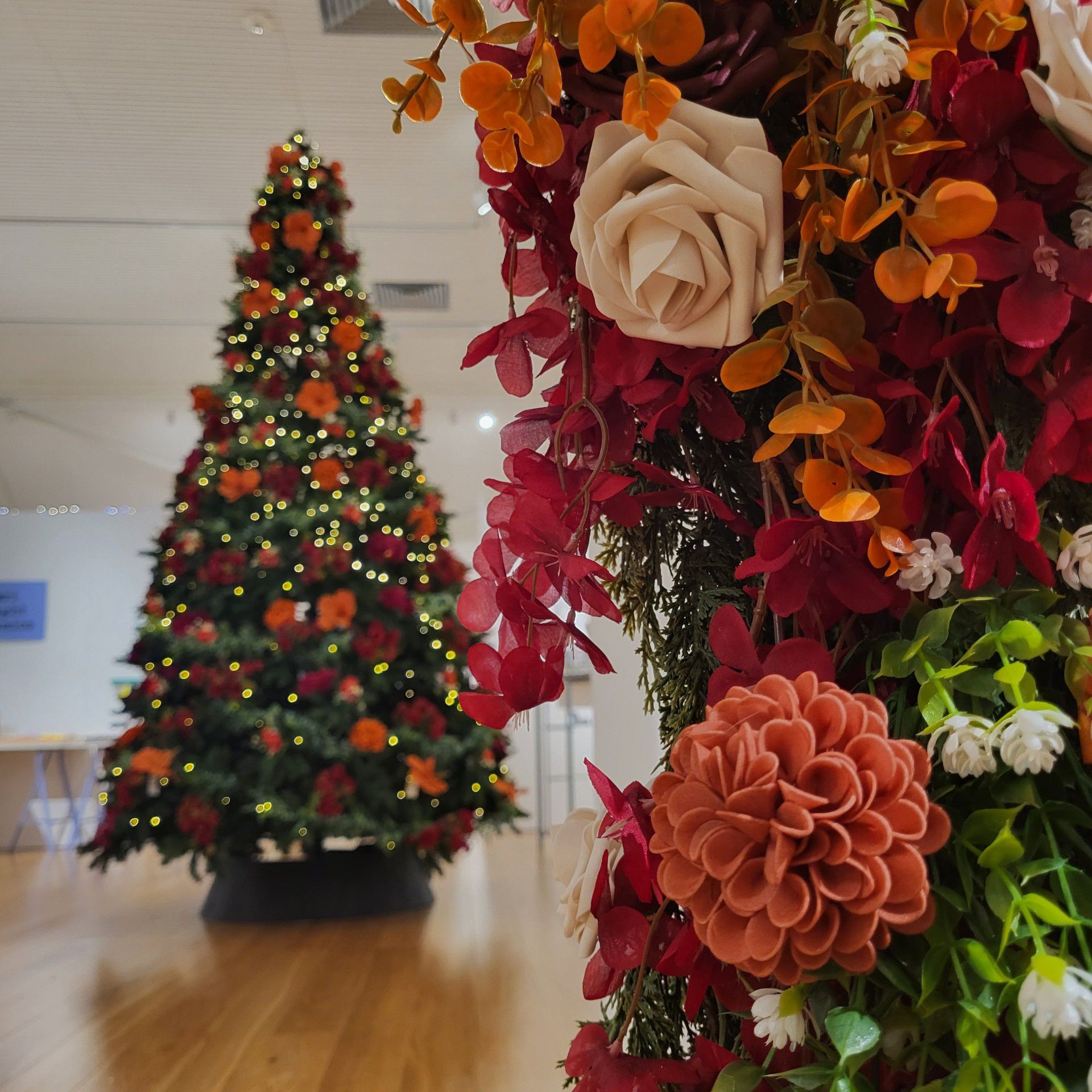 A photograph of a Christmas tree