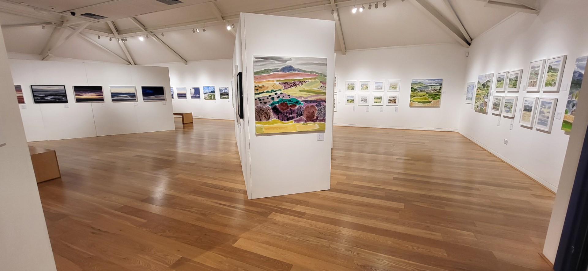 Darlun panoramig o'r arddangosfa.