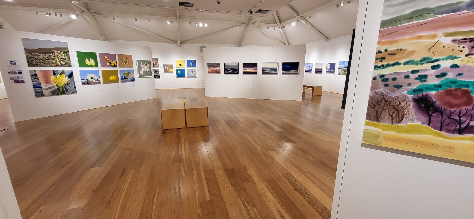 Darlun panoramig o'r arddangosfa.