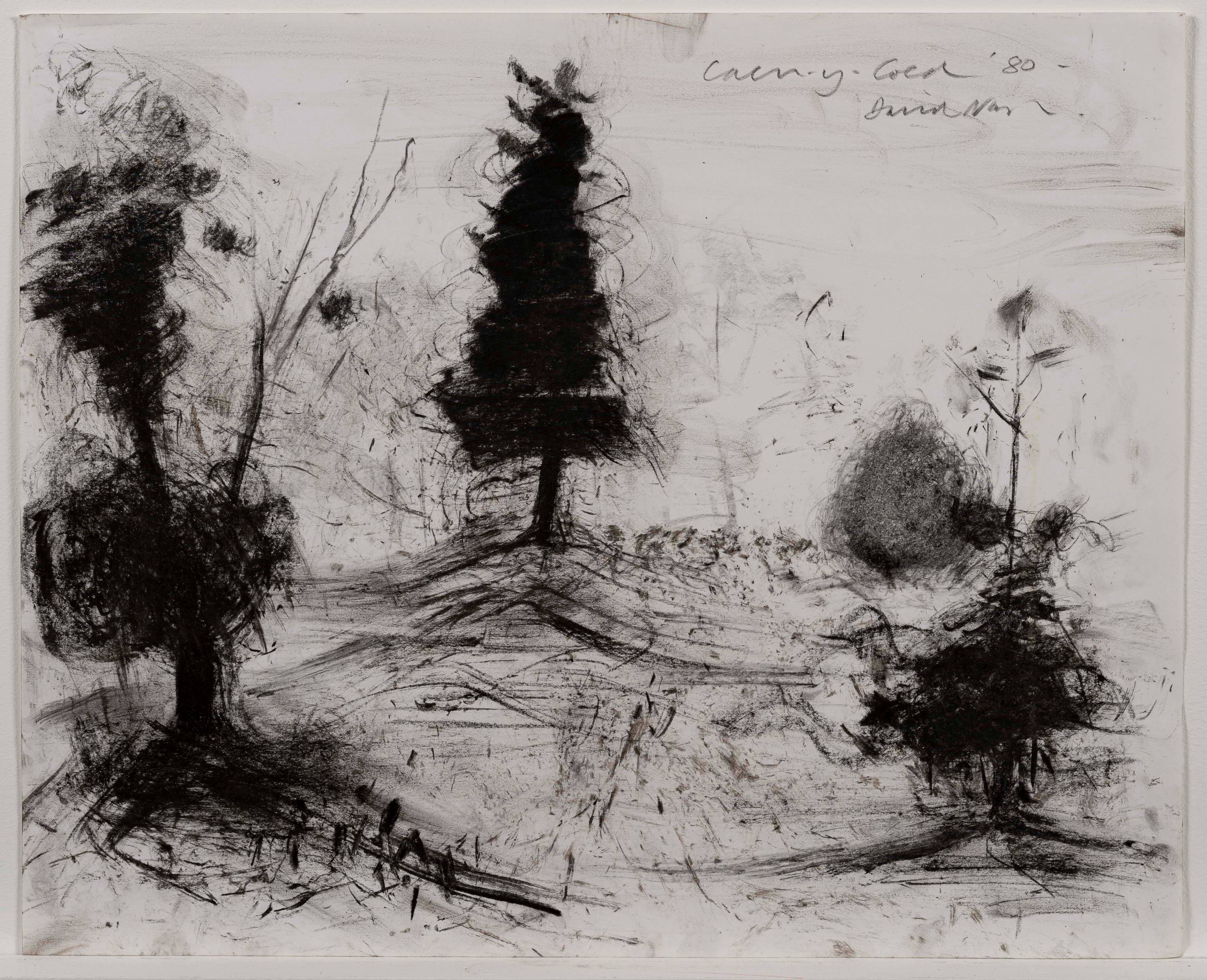 Black charcoal drawing of trees