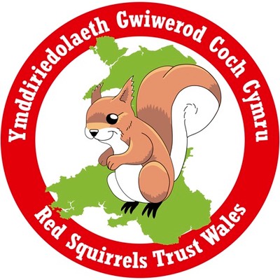 Red Squirrels Trust Wales logo