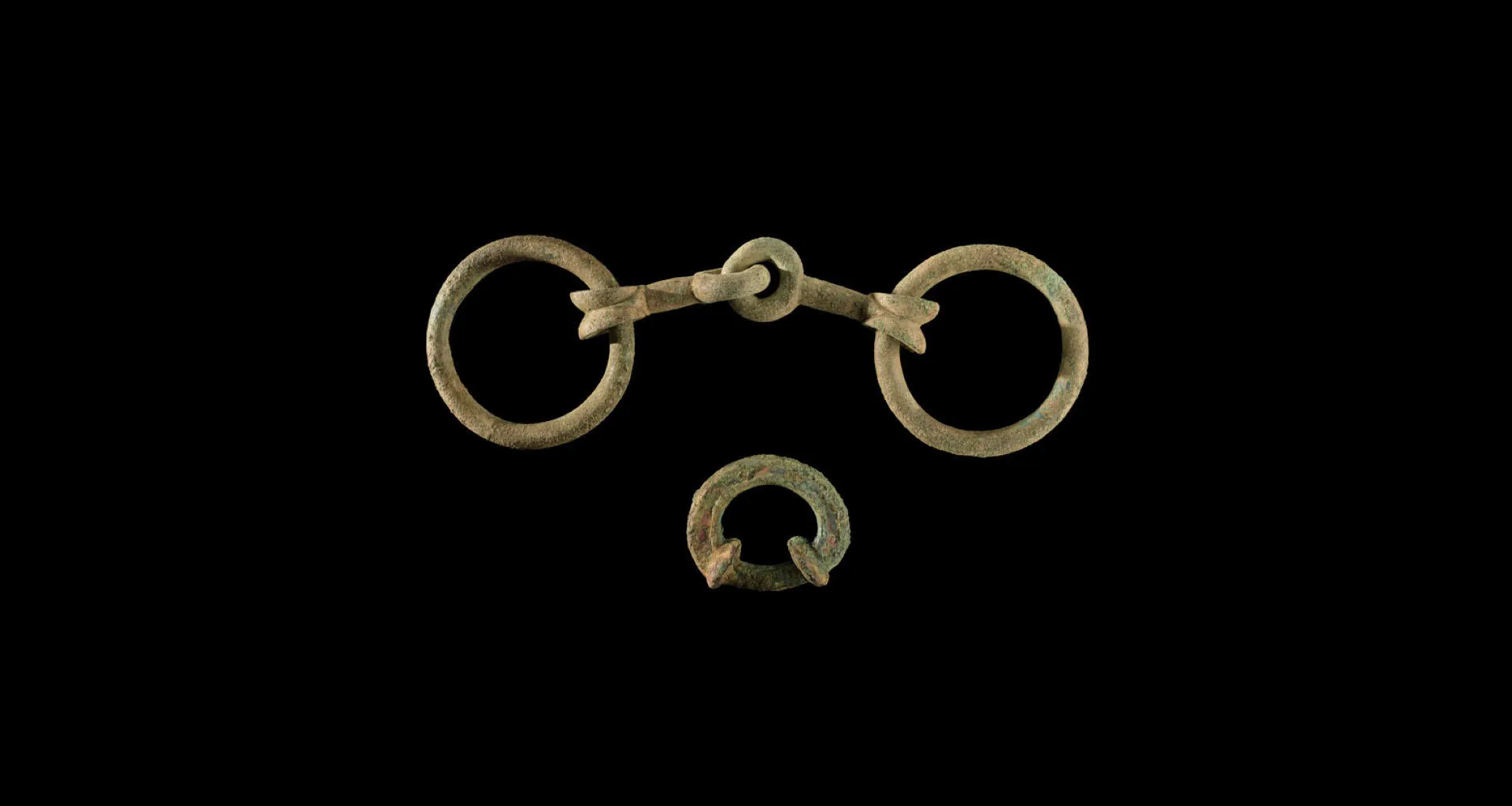 Recently discovered Iron Age horse bridle and terret ring.