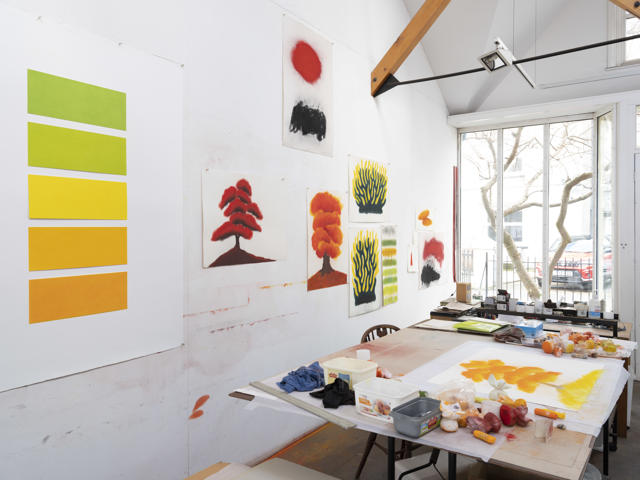 Studio shot
